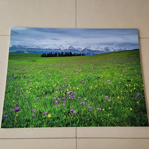 Acoustic panels, sound-absorbing pictures , acoustic art panels, polyester fiber decorative soundproof wall panels.