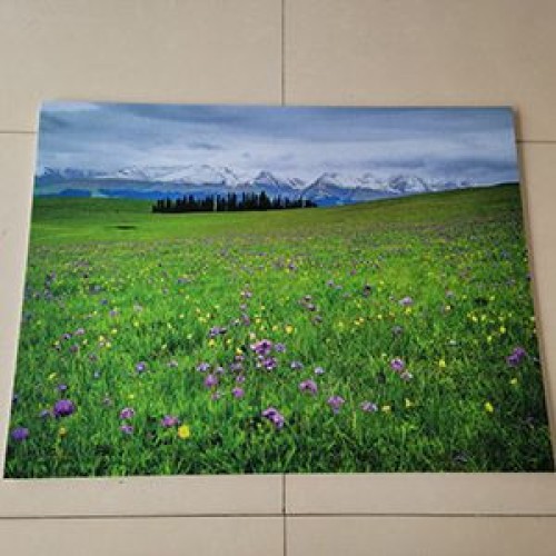 Acoustic panels, sound-absorbing pictures , acoustic art panels, polyester fiber decorative soundproof wall panels.